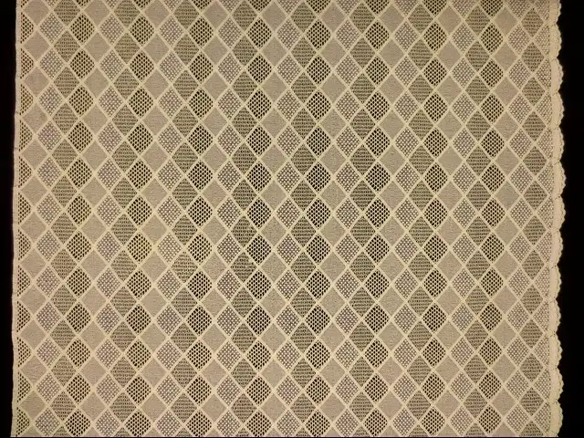 Metallic Guipure Lace3
