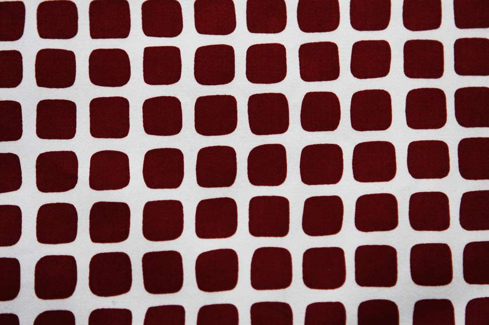 Cotton Lycra Sateen Print2