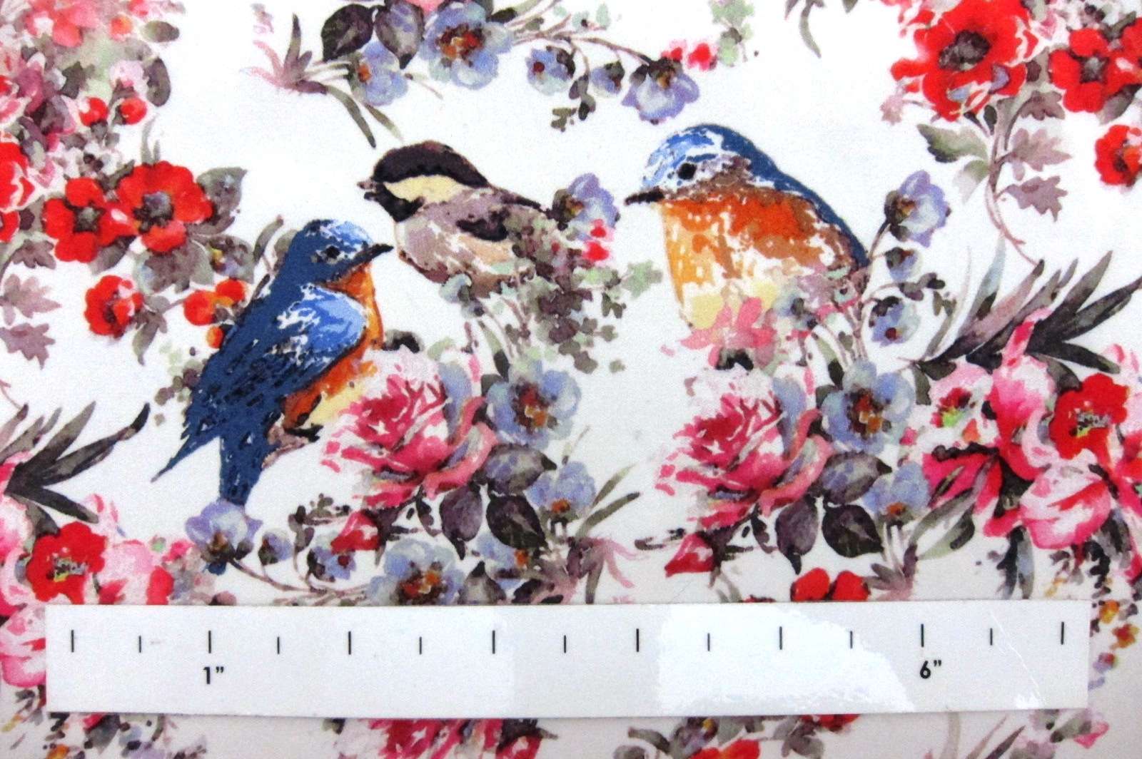 Printed Silk Charmeuse1