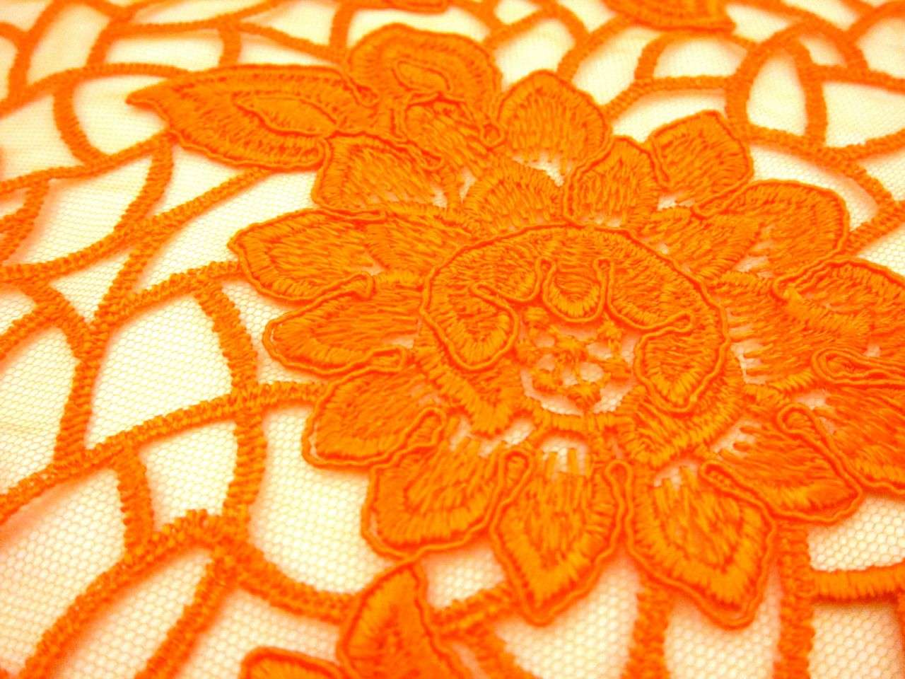 Embroidered Tulle2