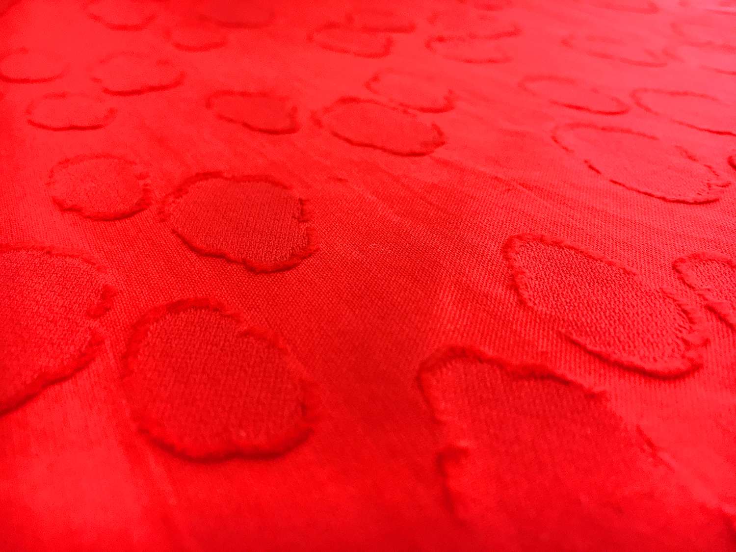 Swiss Cotton Voile Fil Coupe2
