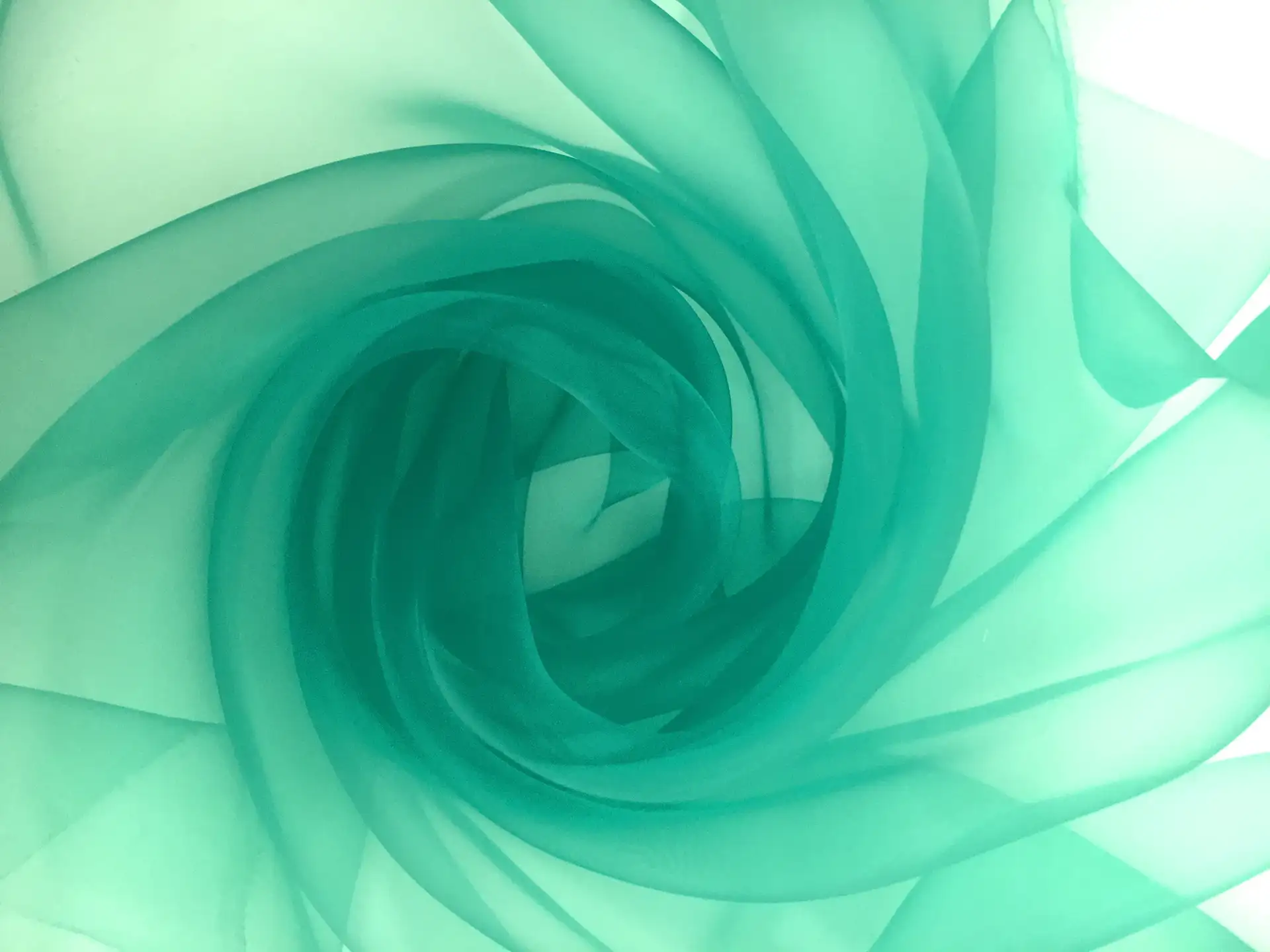 Polyester Onion Skin Organza0