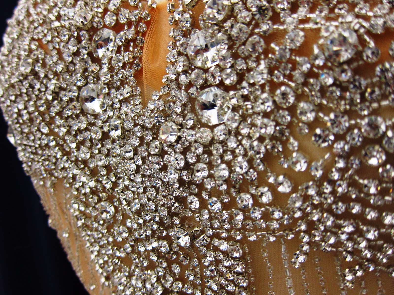 Marguerite Beige Crystal Embroidered Tulle Panel1