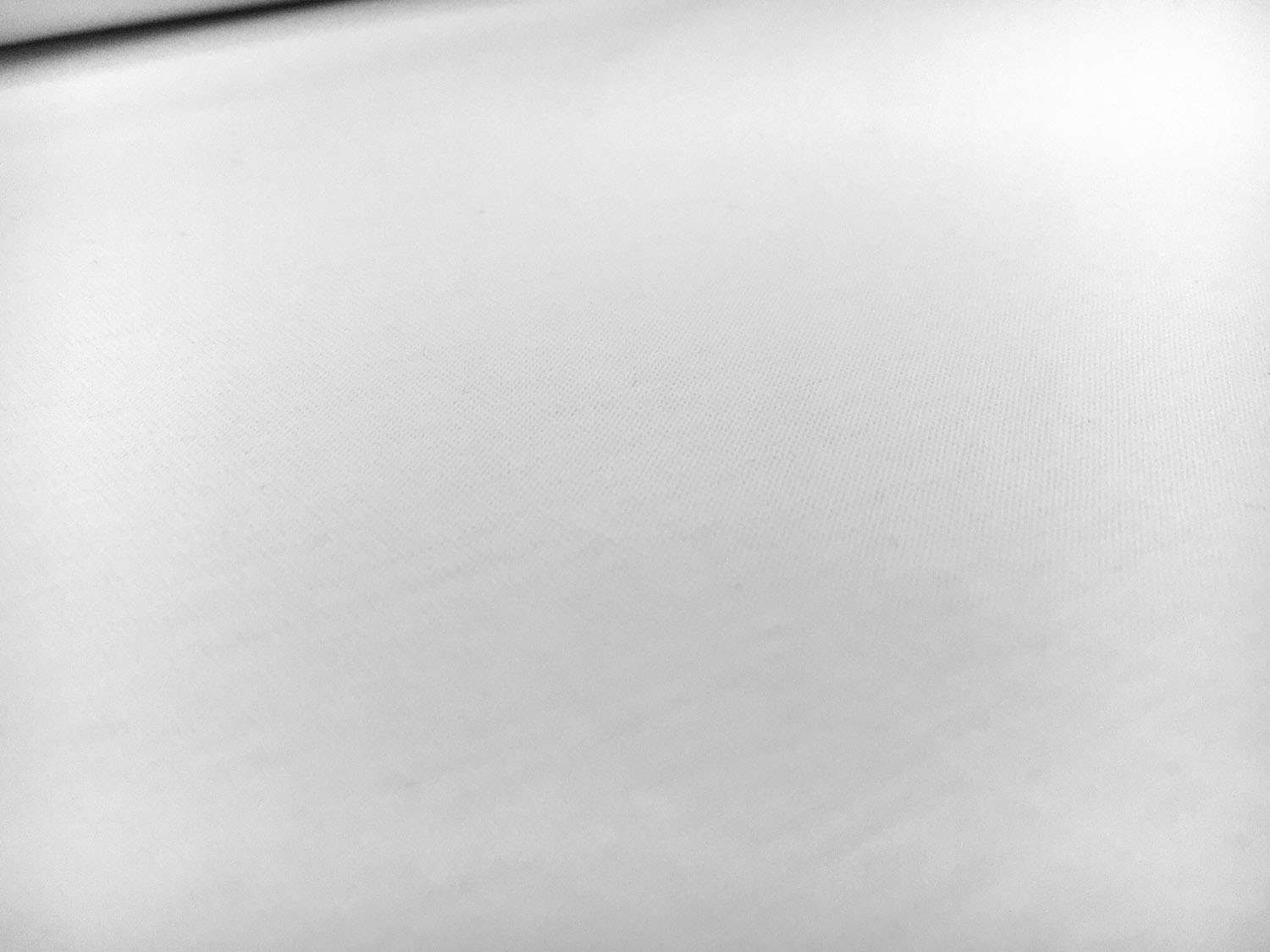 Cotton Jersey in White0