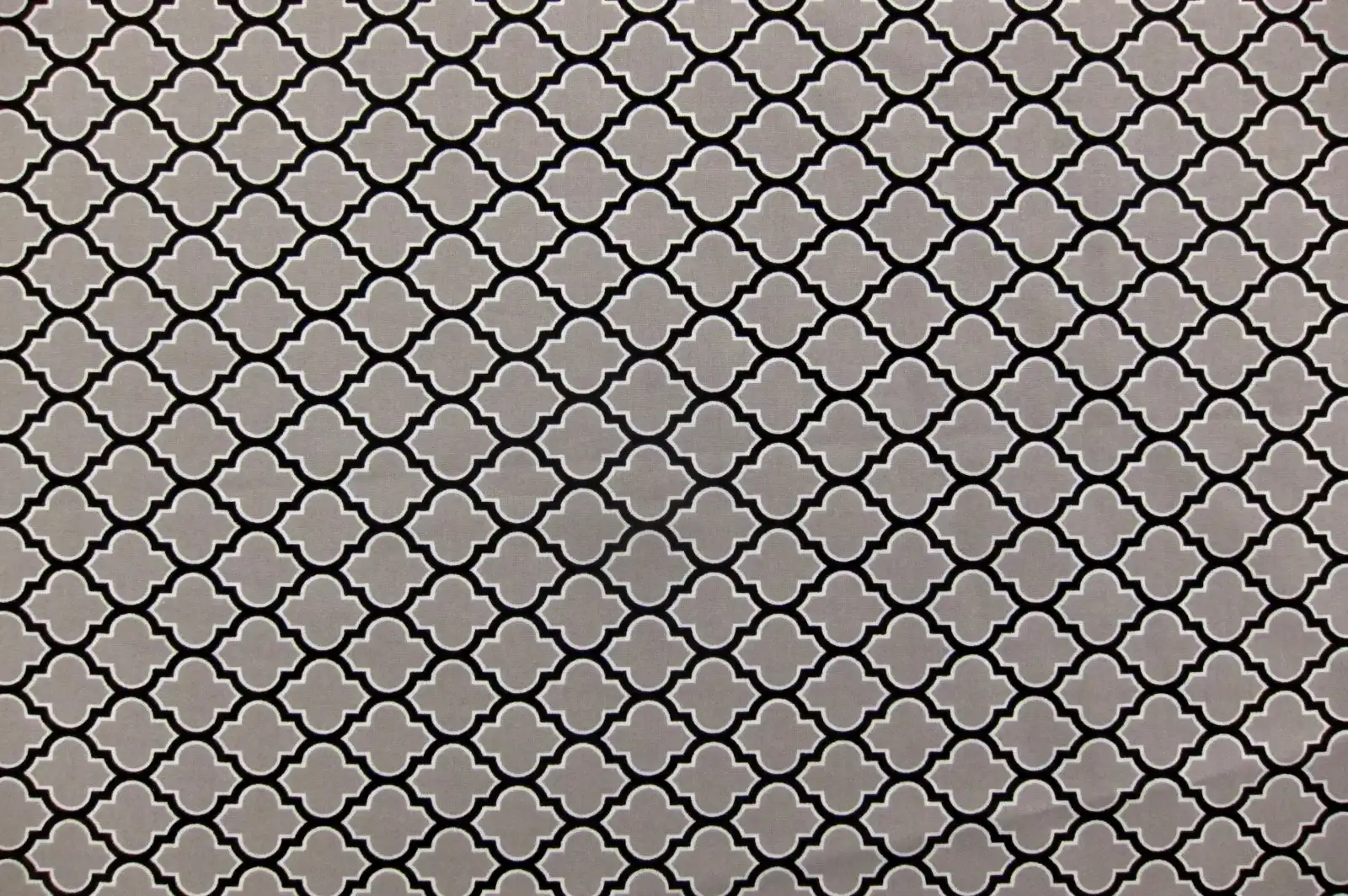 Cotton Broadcloth Print0