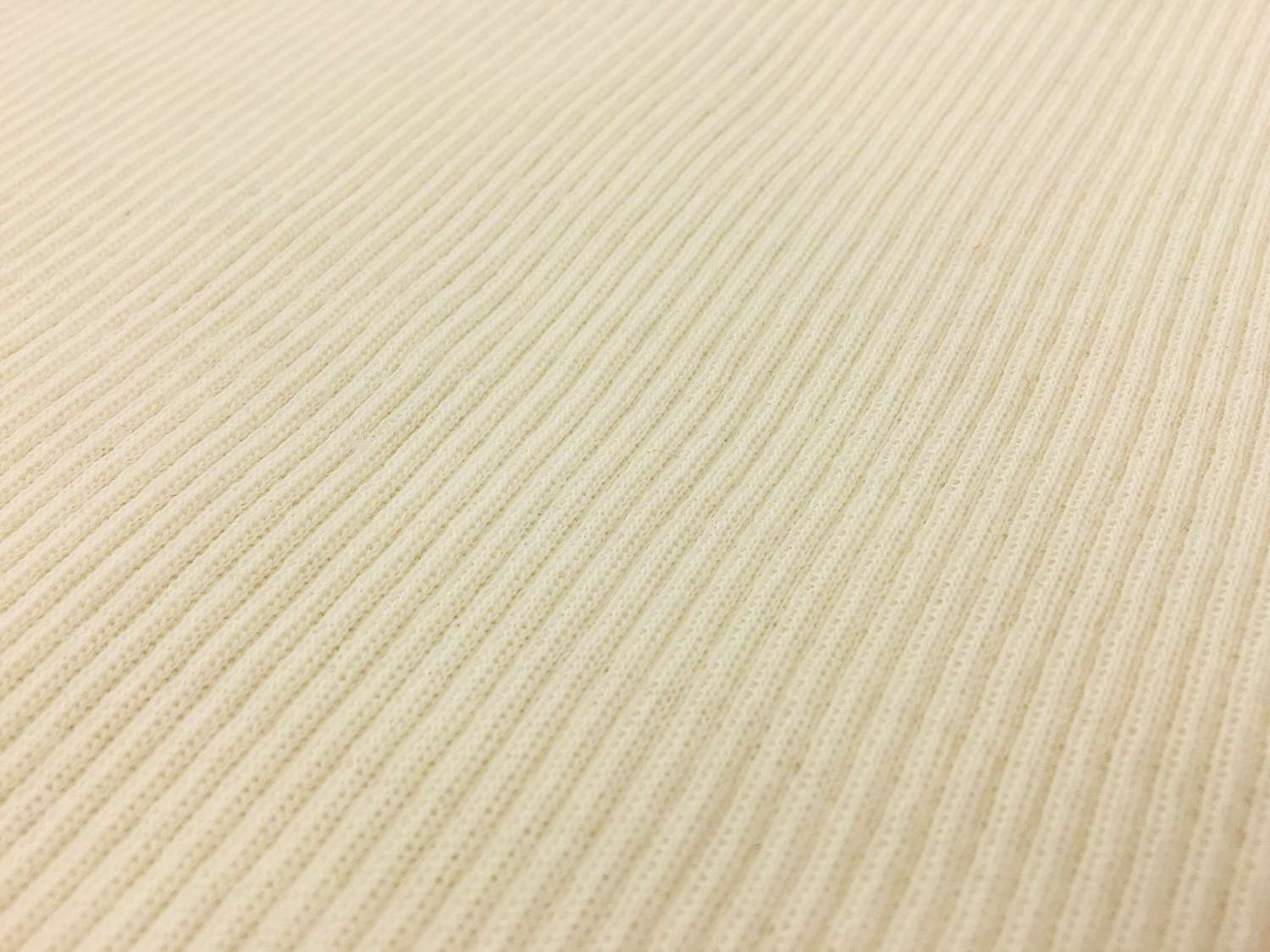 Virgin Wool Rib Knit in Winter White1