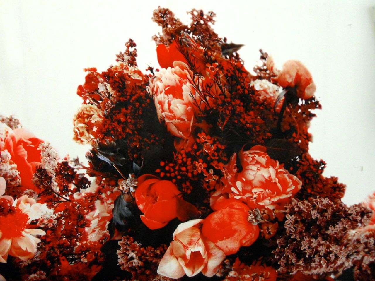 Printed Silk Gazar0