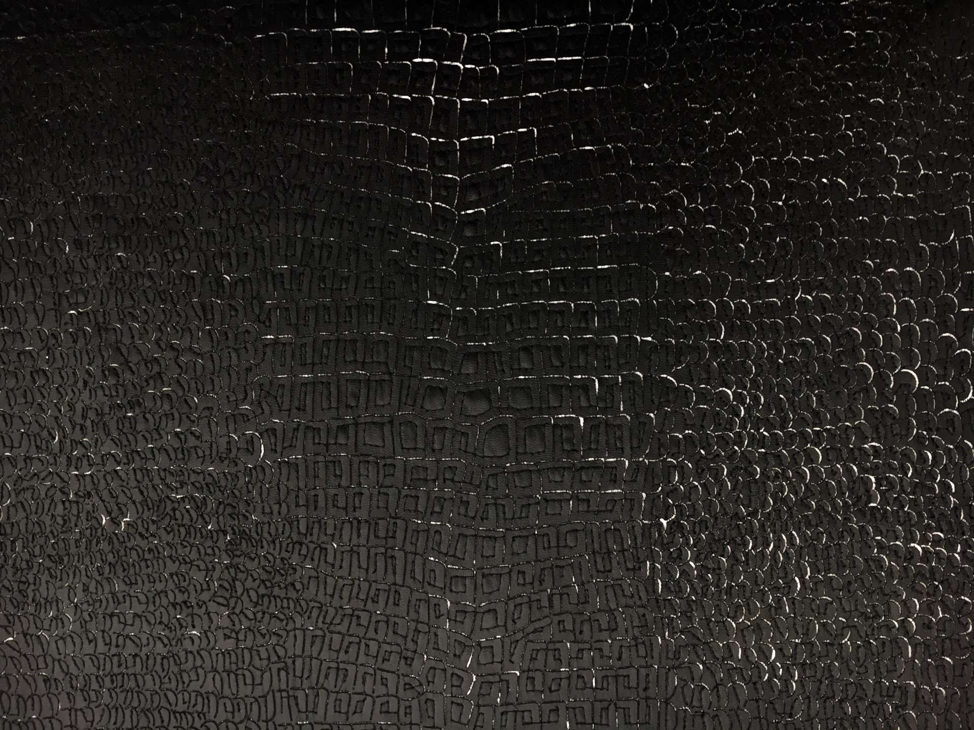 Embroidered Pleather on Tulle2