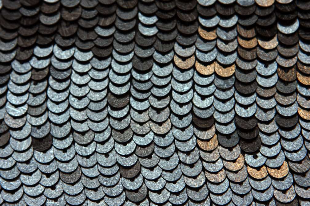 Sequins on Silk Chiffon3