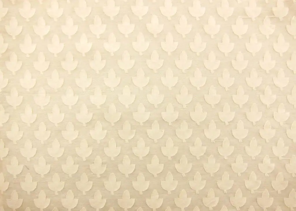 Cotton Fil Coupe0