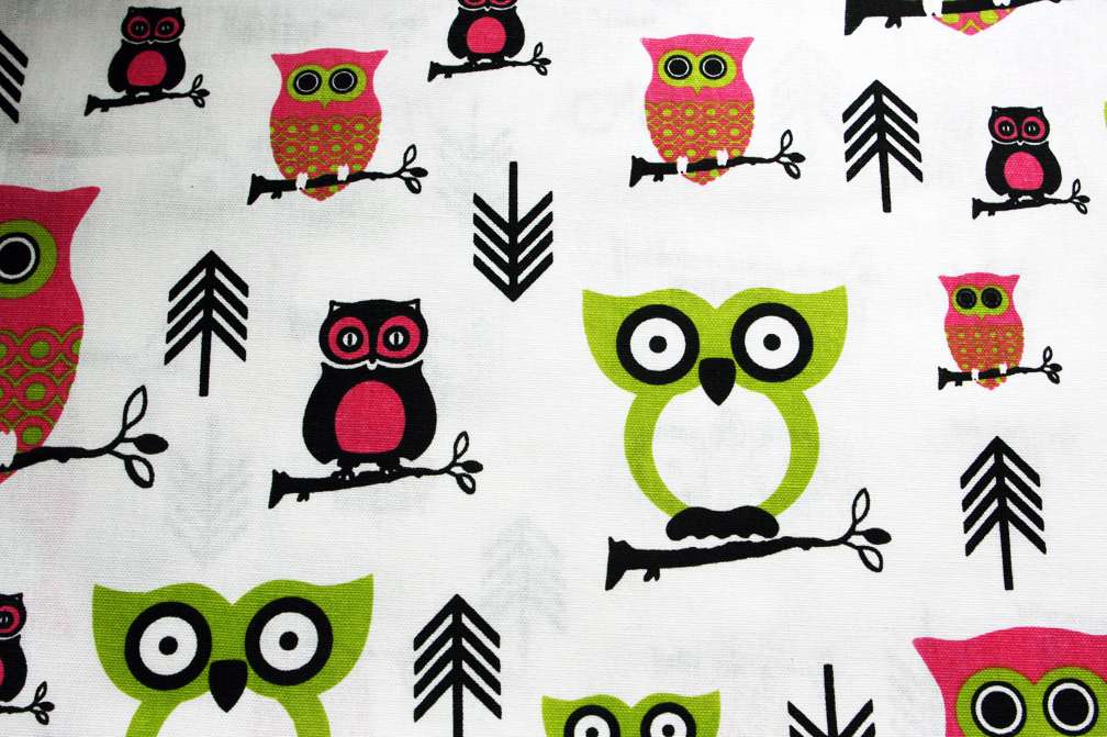 Printed Cotton Canvas2