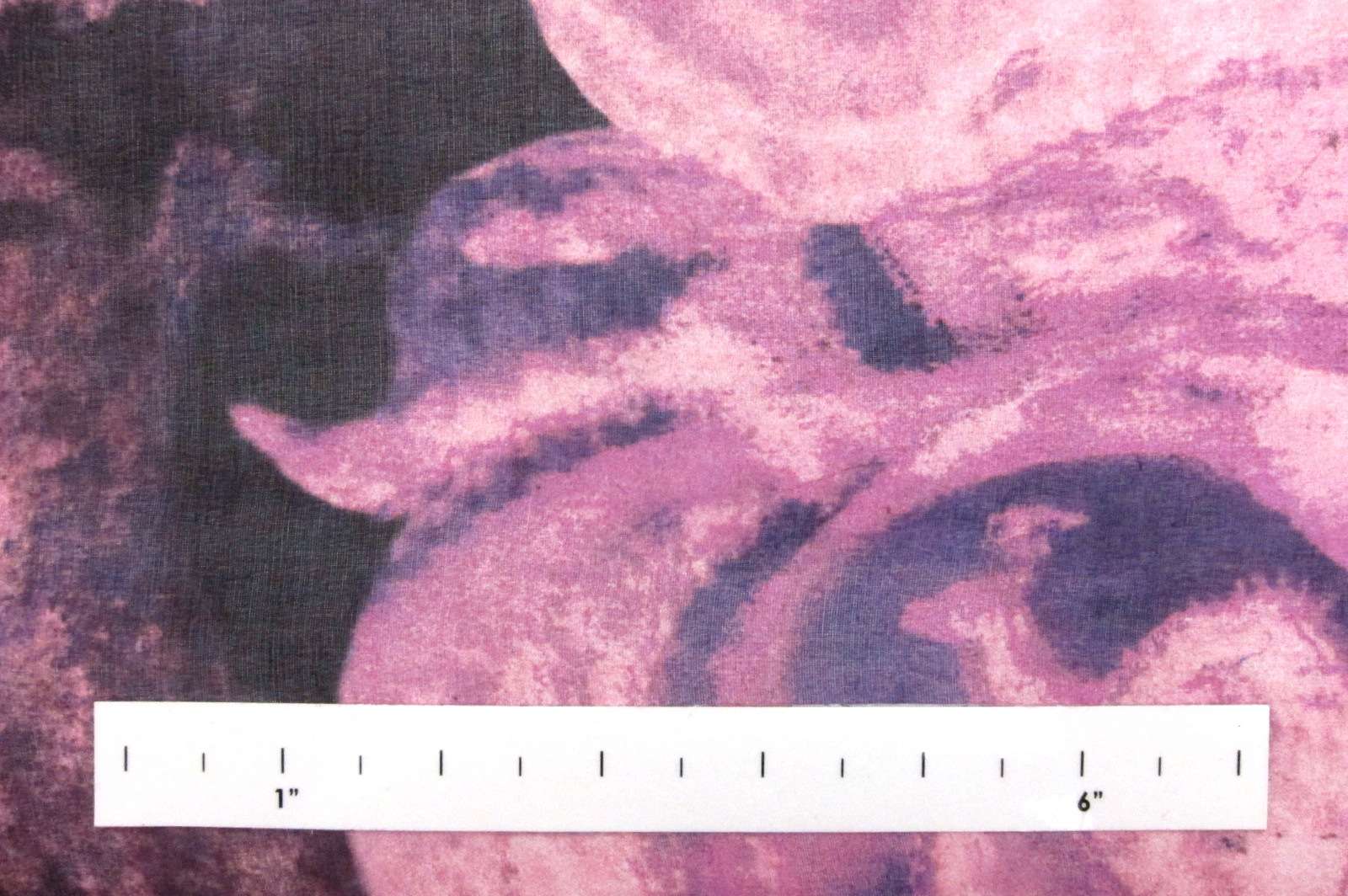 Printed Silk Chiffon1