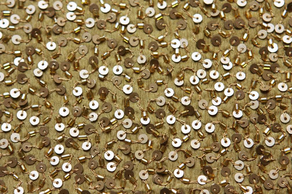 Sequins on Silk Chiffon2