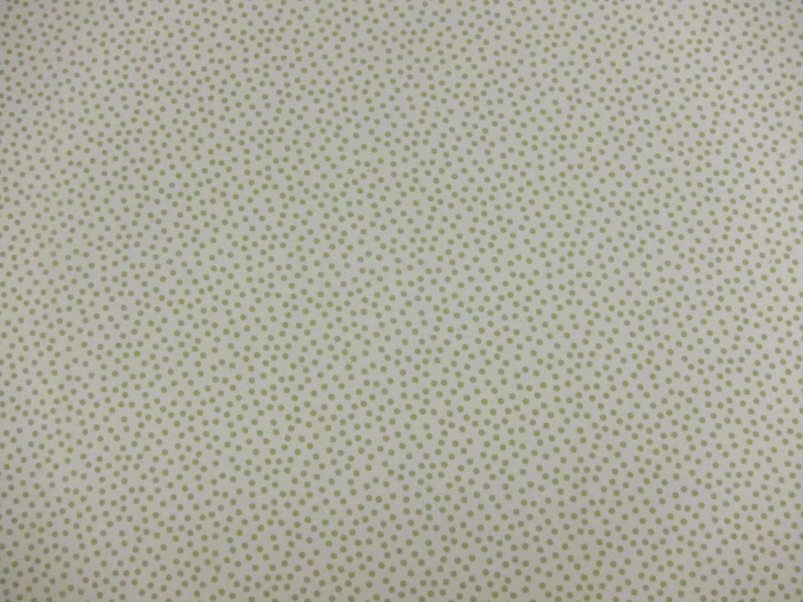 Printed Silk Chiffon