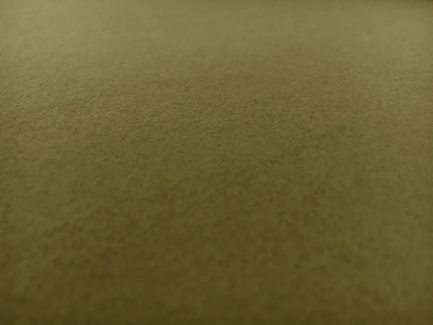 Cotton Flannel in Olive0