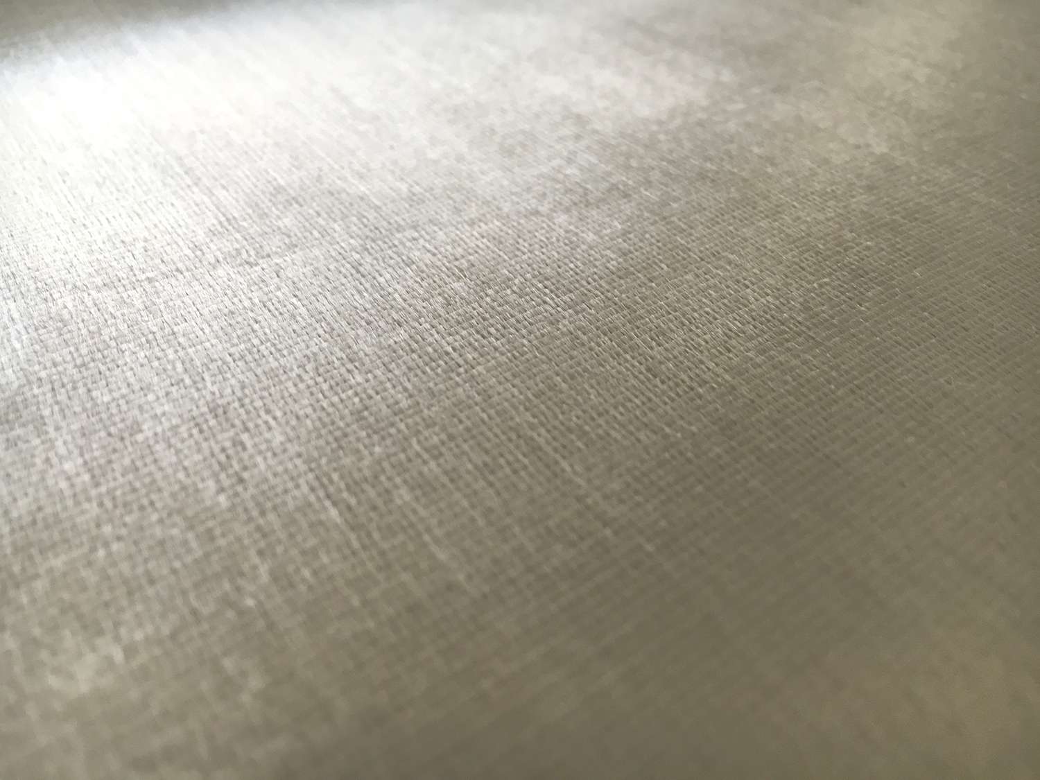 Rayon Panne Velvet in Silver0