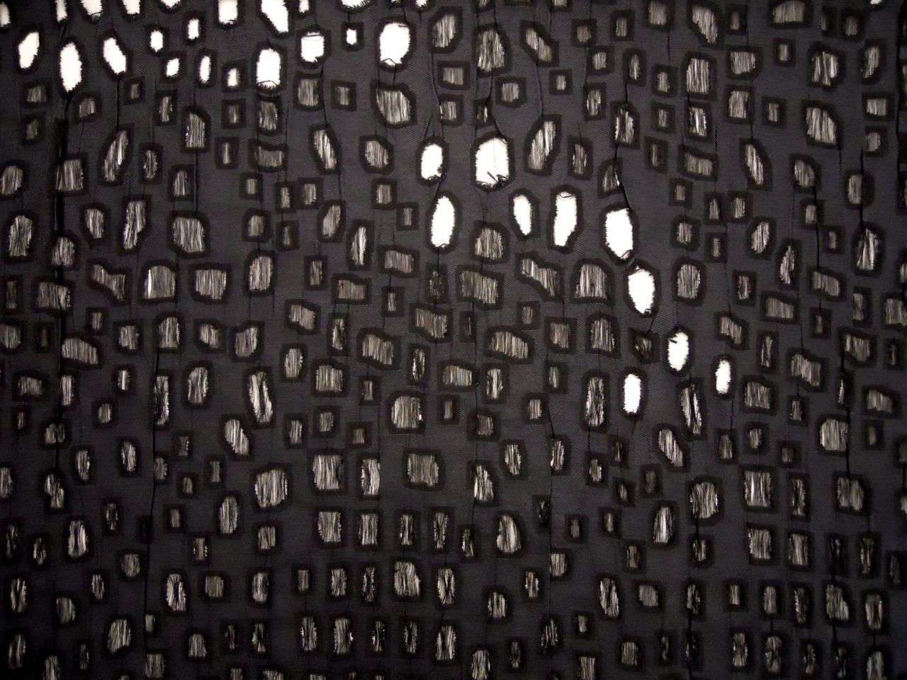 Cut Out Silk Gazar0