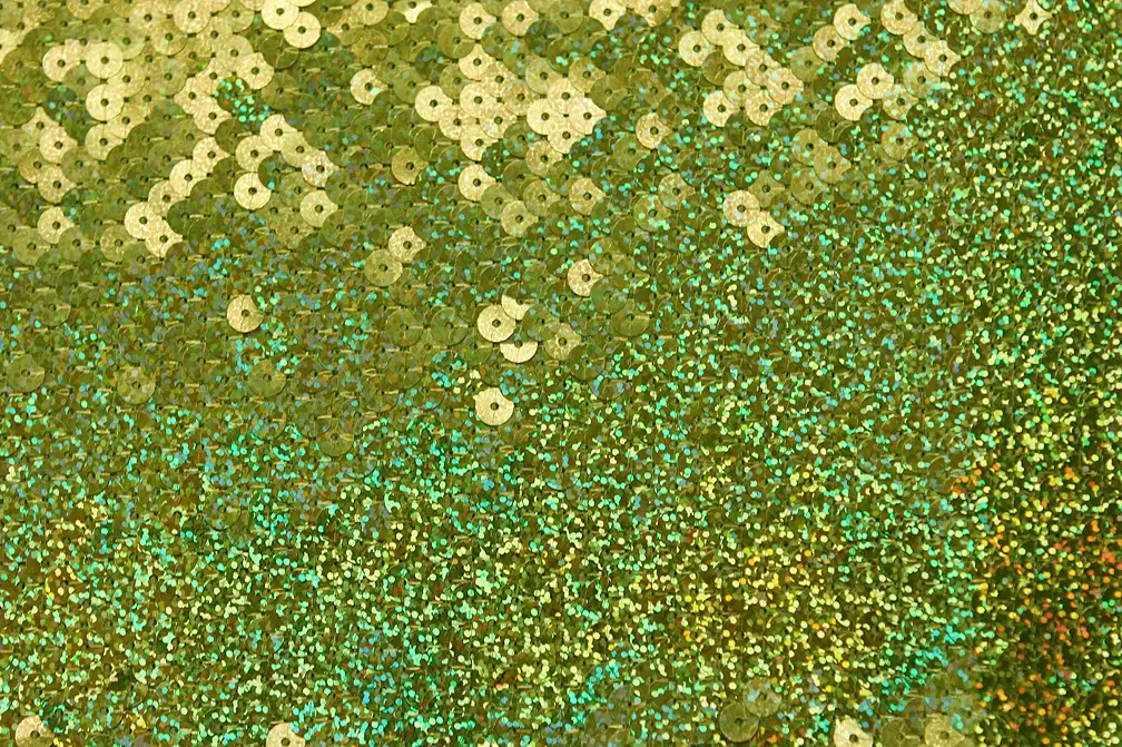Sequins on Jersey0