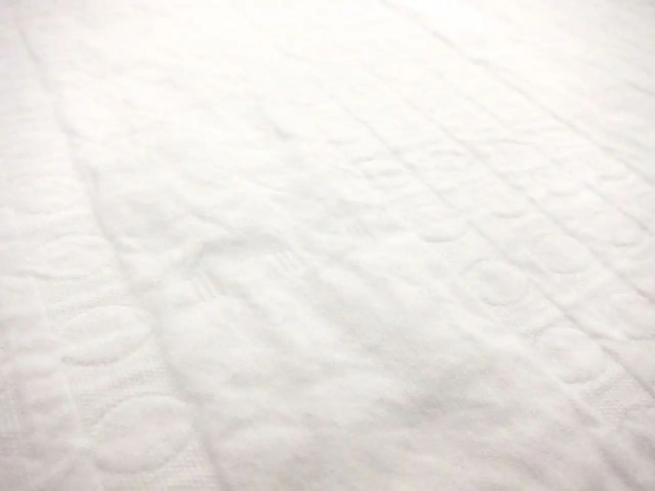 Cotton Brocade2