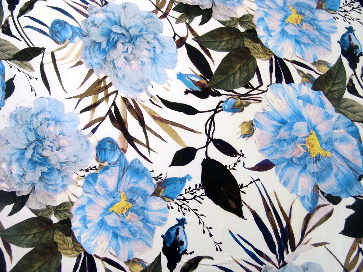 Printed Silk Charmeuse0