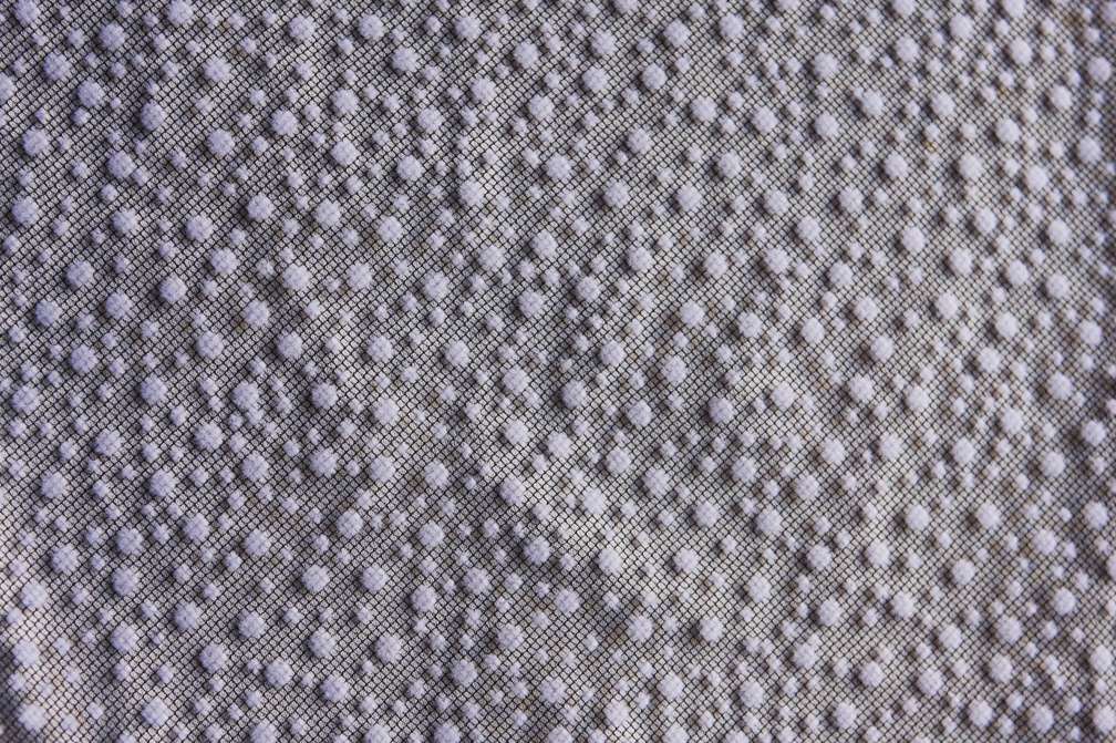 Flocking on Tulle0