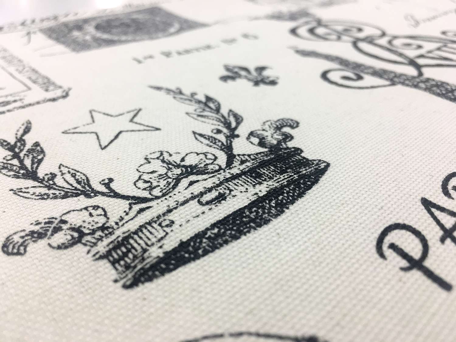 Cotton Canvas Parisian Print2