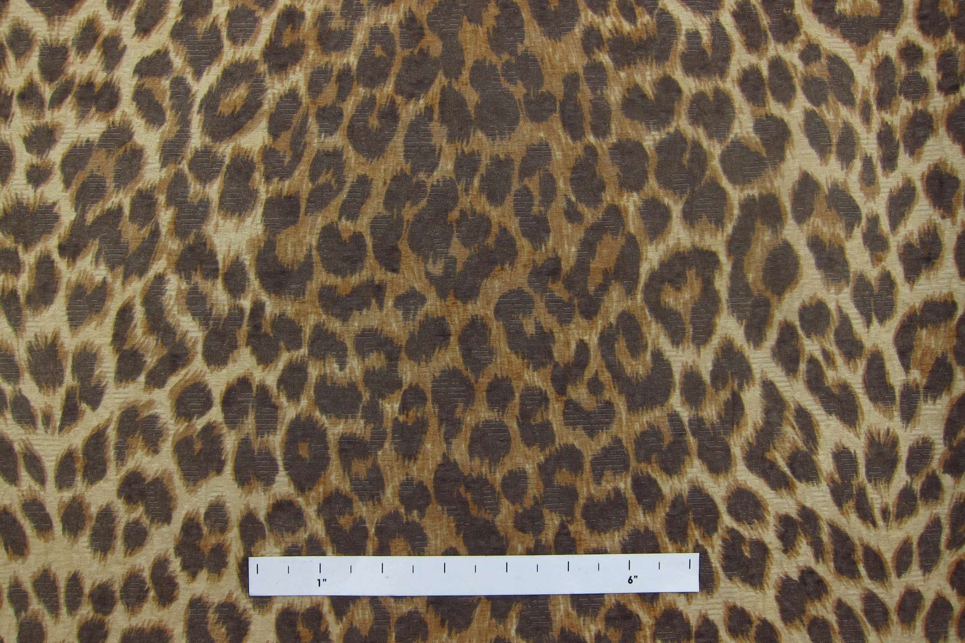 Brocade0