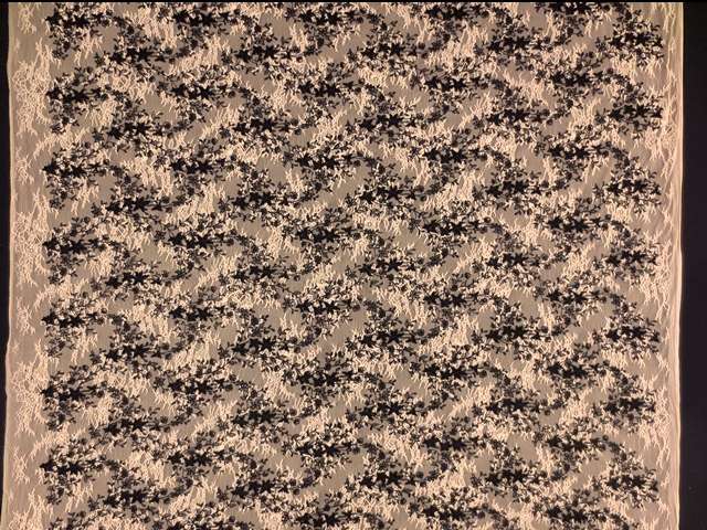 Embroidered Chantilly Lace3