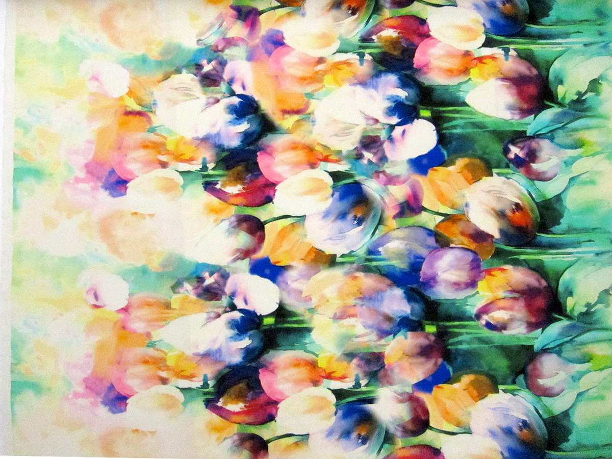 Printed Silk Gazar0