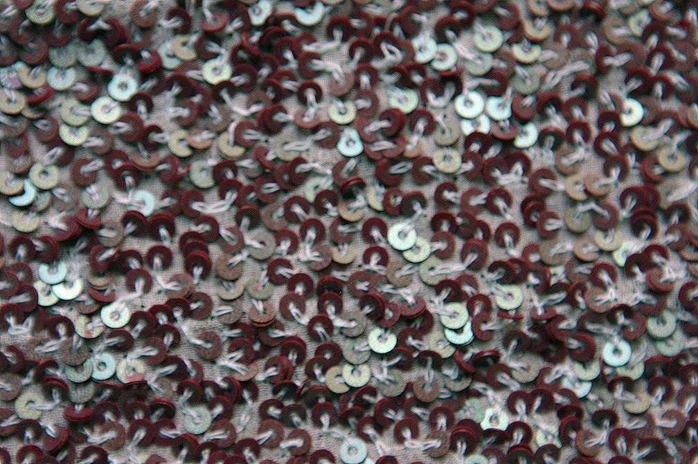 Sequins on Silk Chiffon2