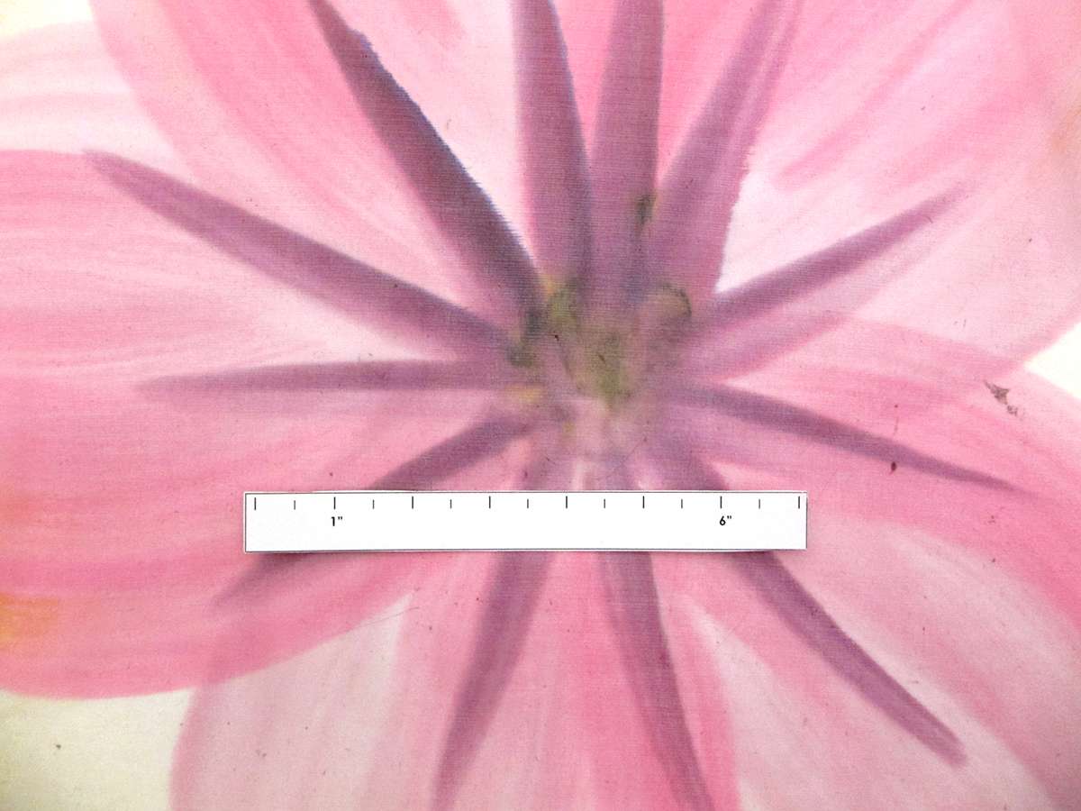 Hand Painted Silk Chiffon2