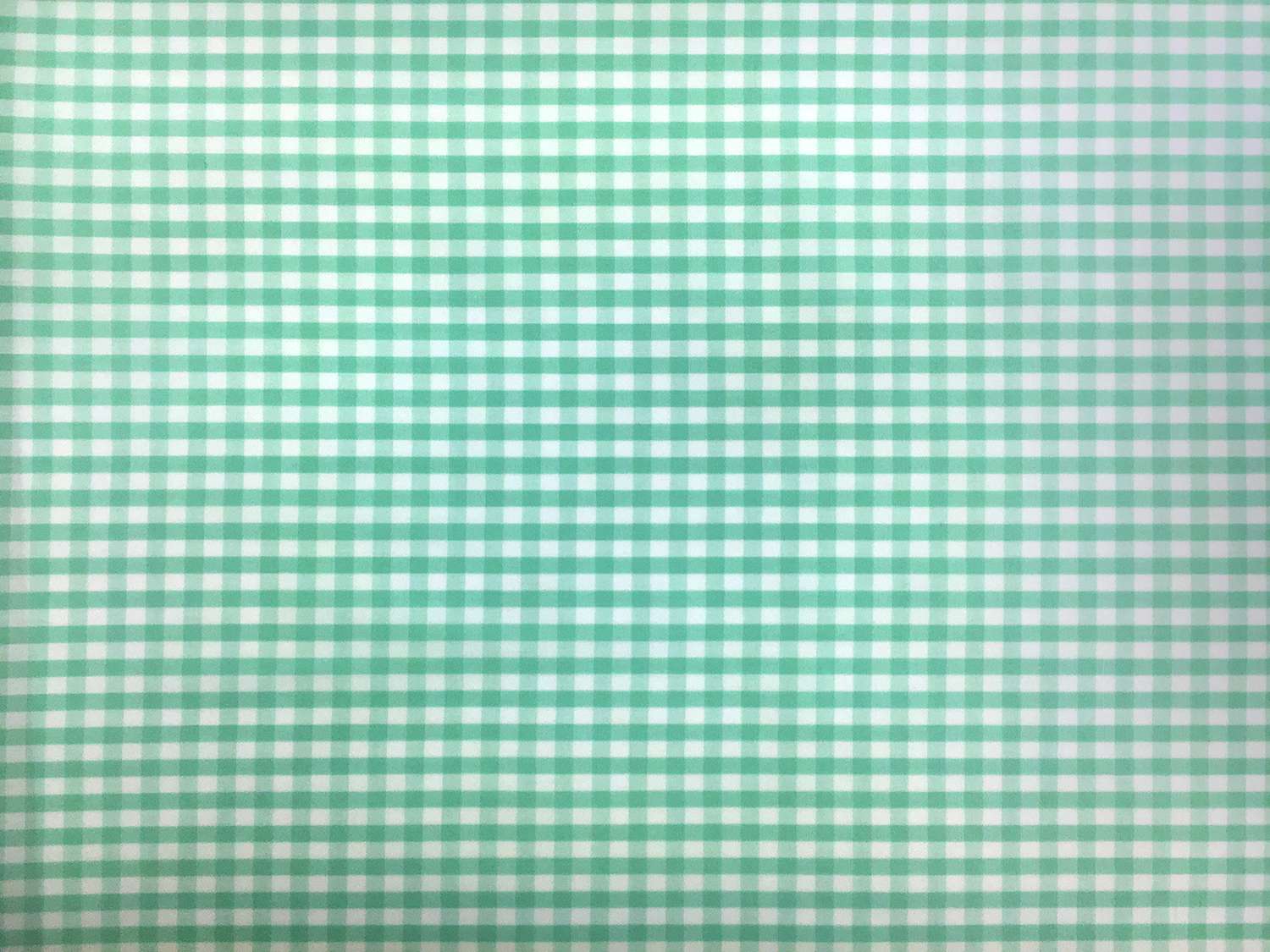 1/4" Cotton Gingham in Seafoam0