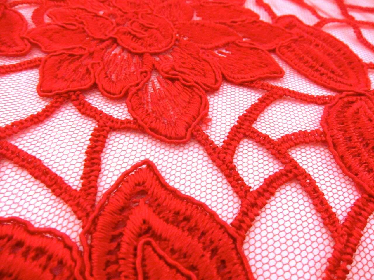 Embroidered Tulle2