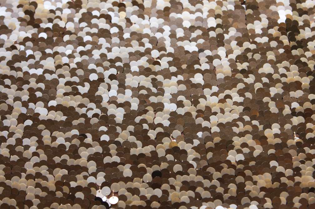Novelty Paillettes on Silk Chiffon0