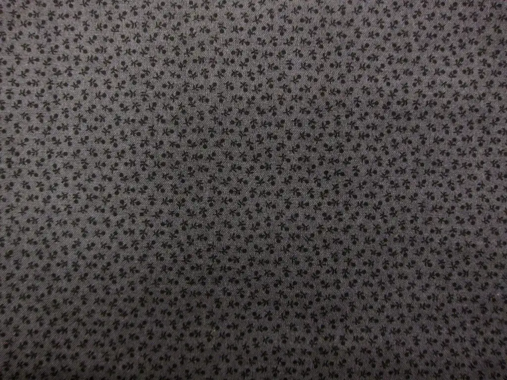 Cotton Broadcloth Print0