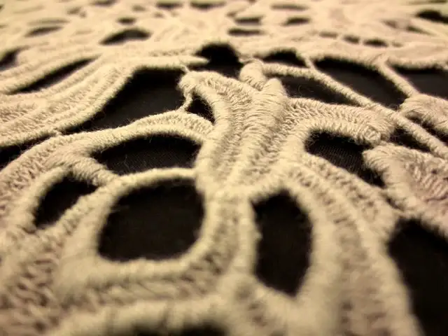 Guipure Lace2