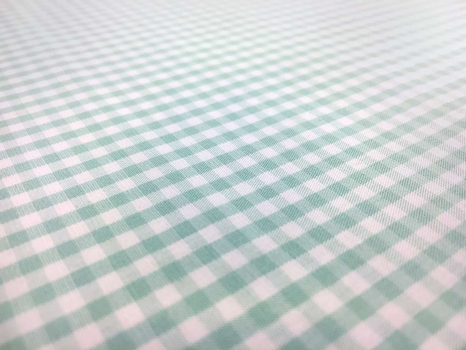 1/8" Cotton Gingham in Seafoam