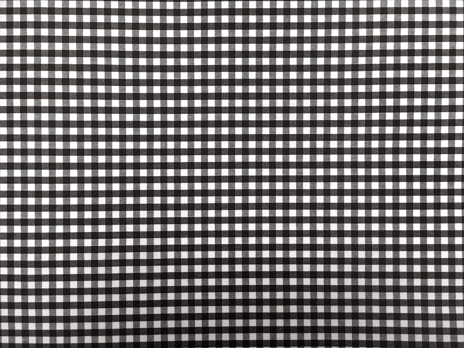 1/4" Cotton Gingham in Black0