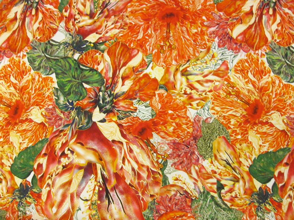 Printed Silk Charmeuse0
