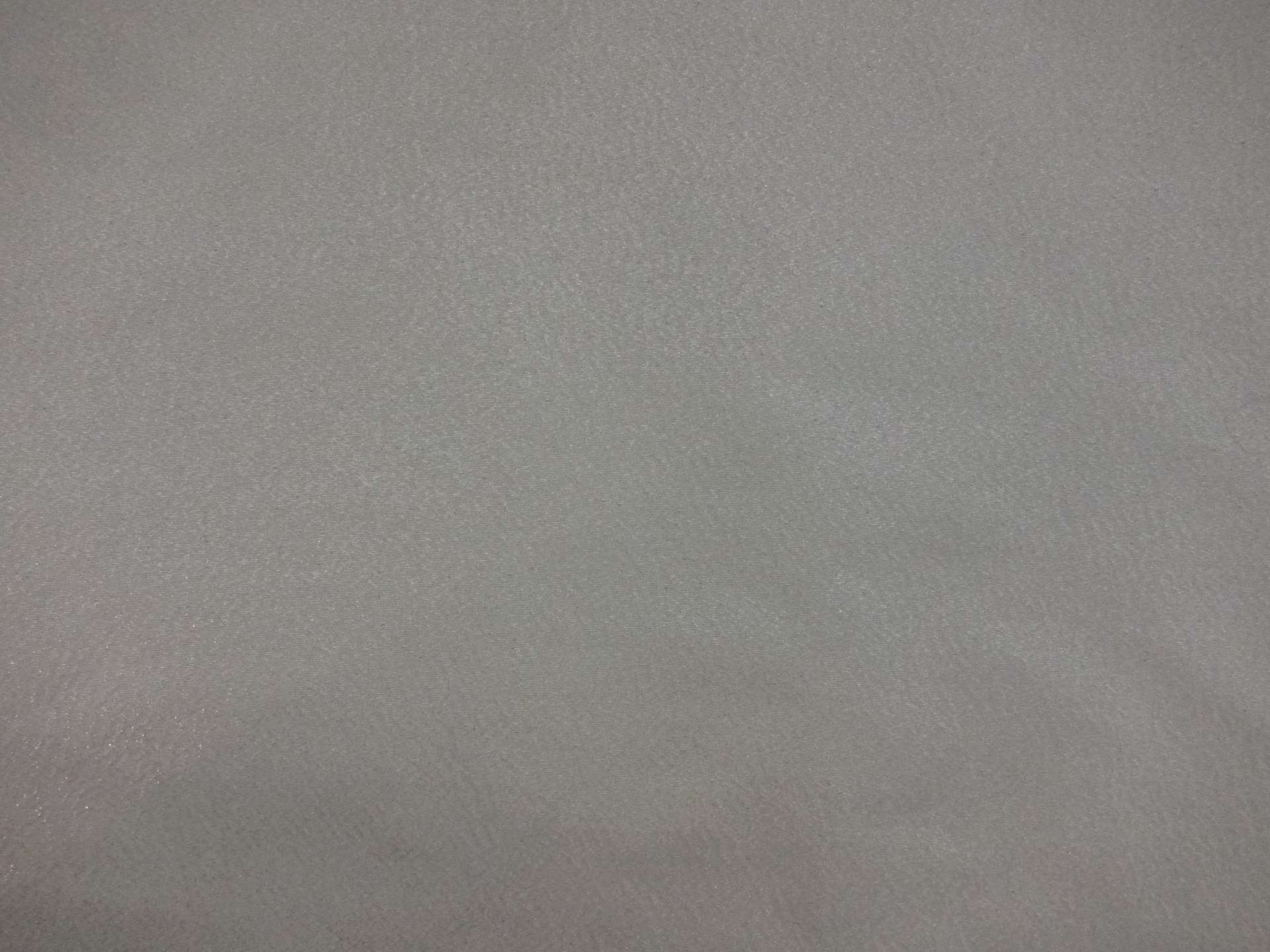 Made in Italy Opalescent Silver Silk Lame