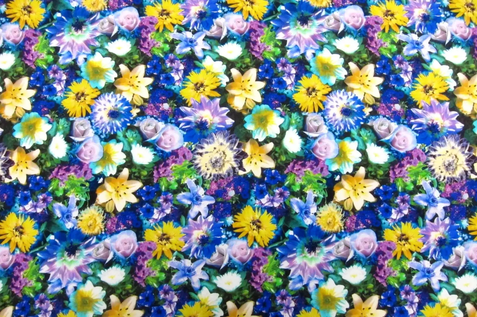Printed Silk Charmeuse