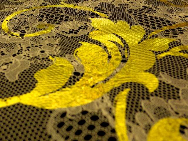 Metallic Chantilly Lace2