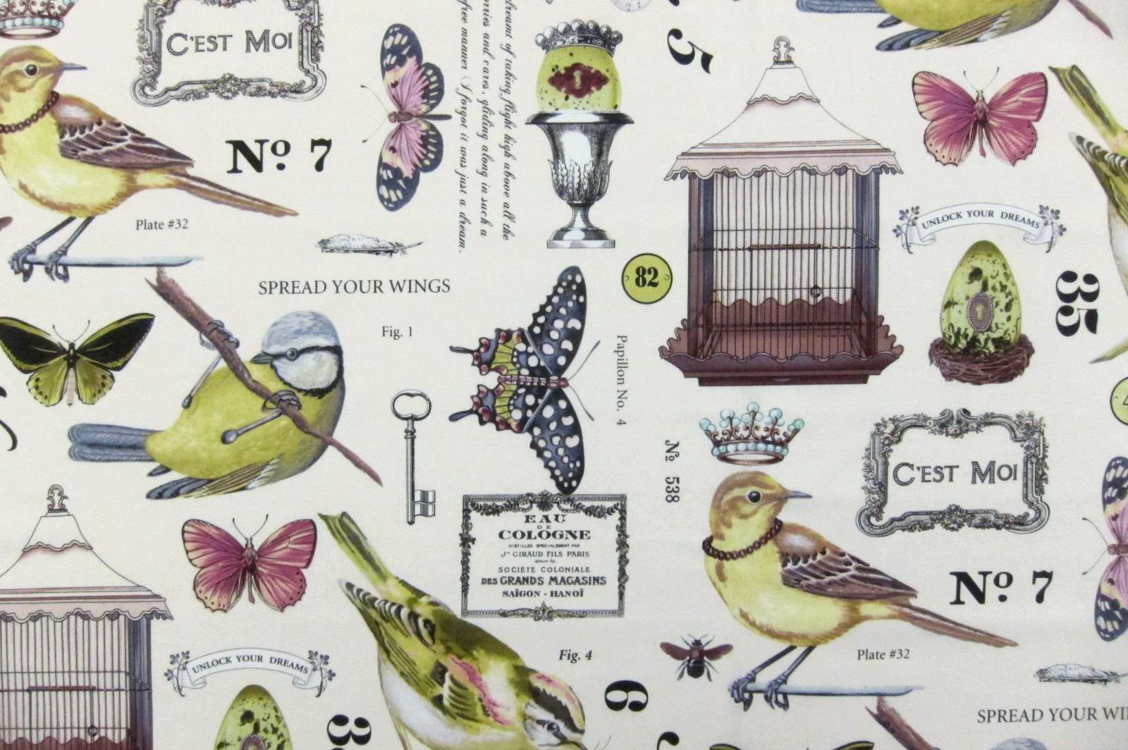 Cotton Broadcloth Print0