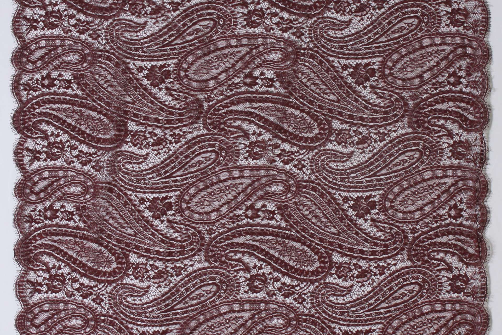 Chantilly Lace0