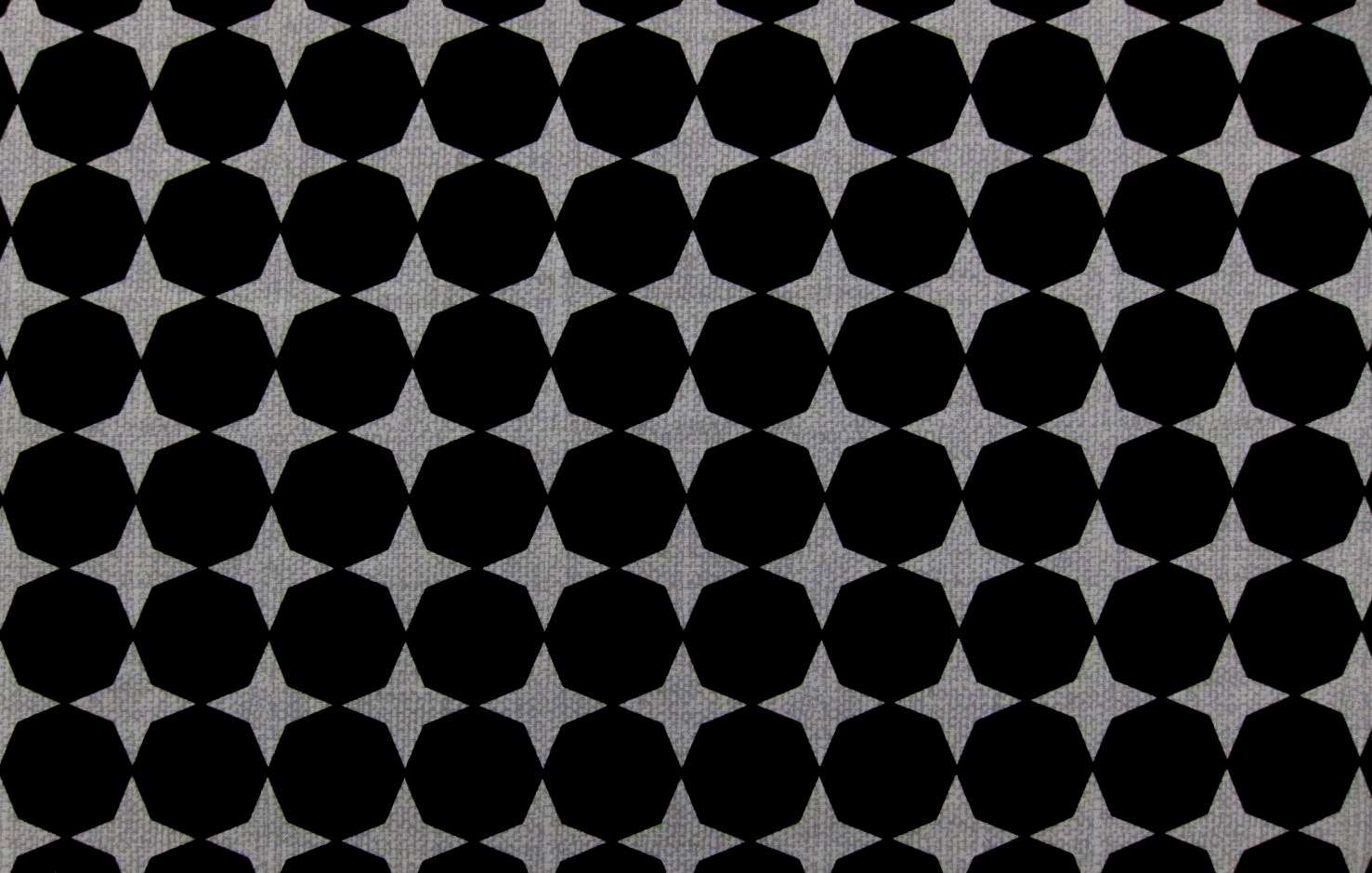 Cotton Broadcloth Print0