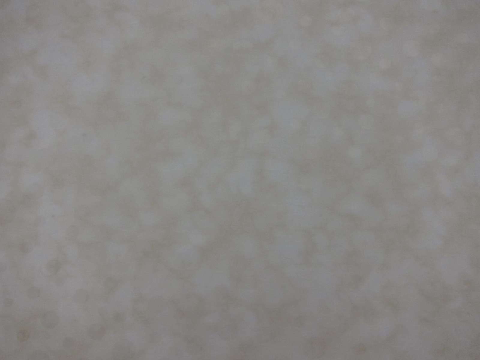 Cotton Broadcloth Print0