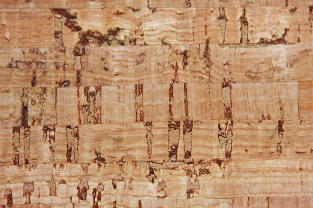 Cork2