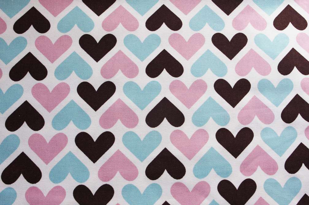 Printed Cotton Canvas0