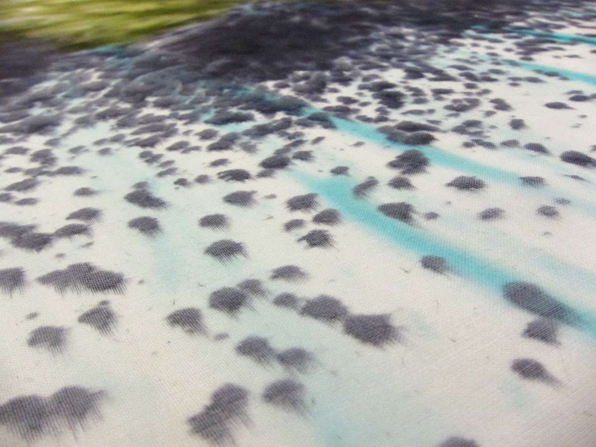Printed Silk Chiffon1