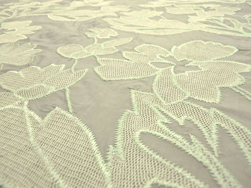 Silk Taffeta with Embroidered Flowers and Mesh2